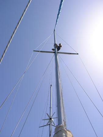 P4115752
